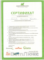Сертификат отделения Бетанкура 2