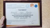 Сертификат клиники Кот Матроскин