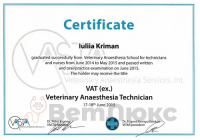 Сертификат отделения Бетанкура 2