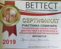Сертификат клиники Ветеринарная станция